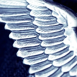 eagle wing