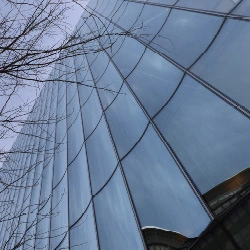 Wiley exterior building